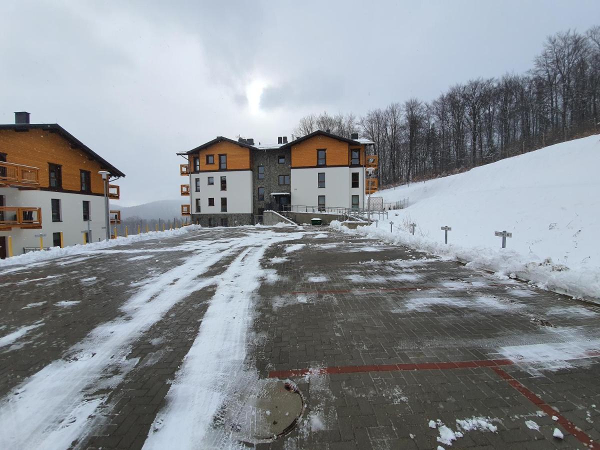 Skalny Widok 10 Daire Szklarska Poreba Dış mekan fotoğraf
